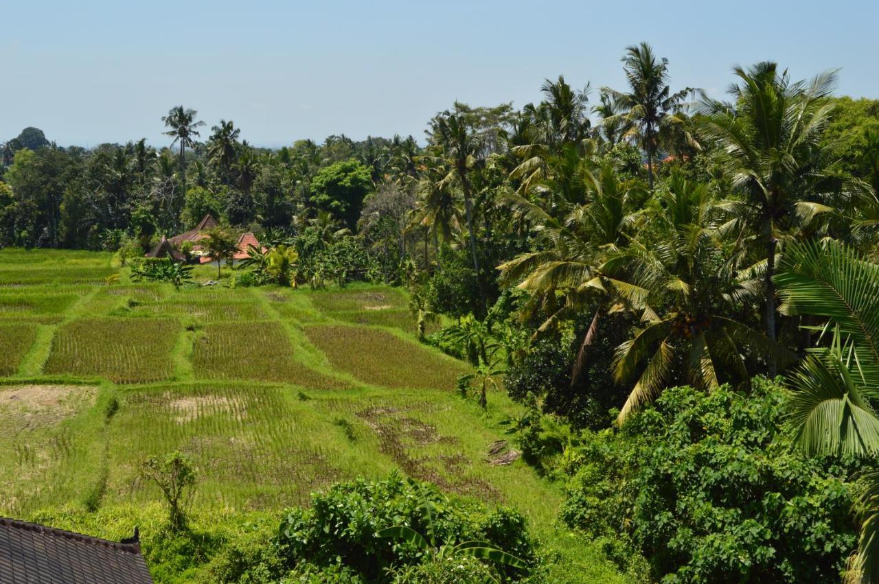 Askara Guest House & Hostel Ubud Exterior foto
